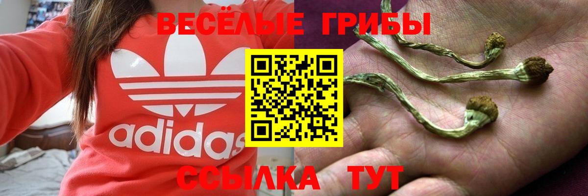 Галлюциногенные грибы ЛСД  Вход с VPN  Нижнекамск  Галлюциногенные грибы Psilocybe 